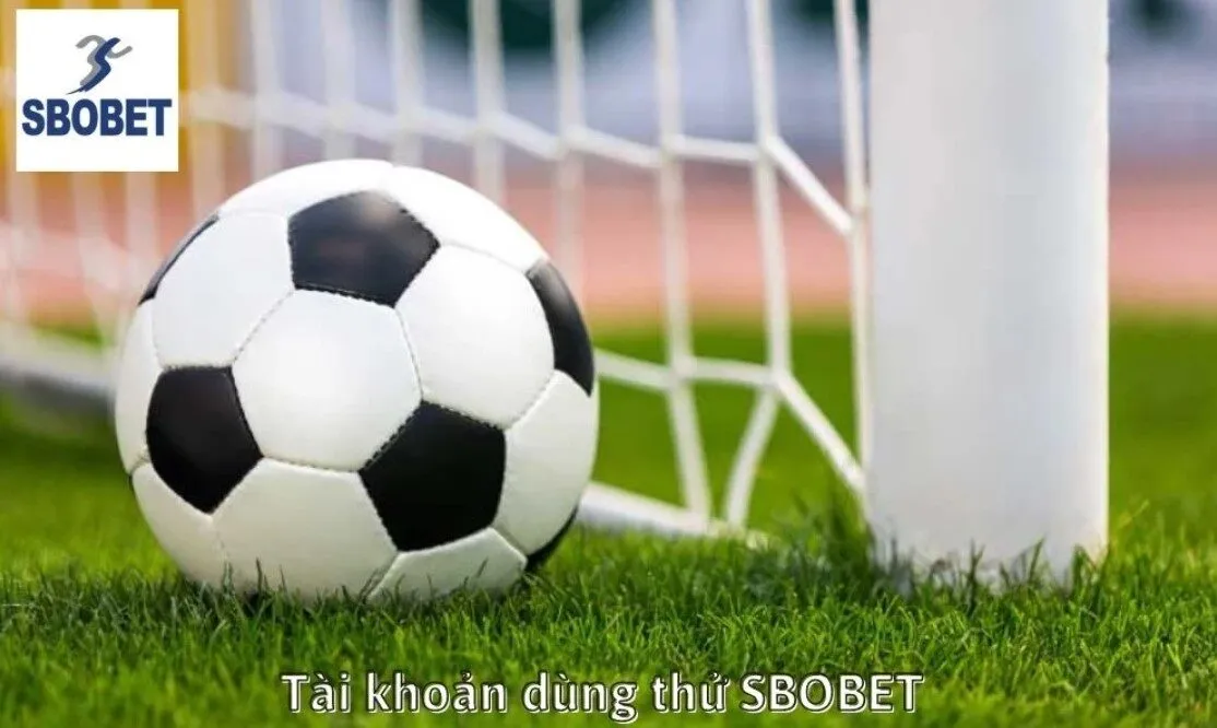Hướng Dẫn Từng Bước Đăng Ký Sbobet Chi Tiết Cho Người Mới