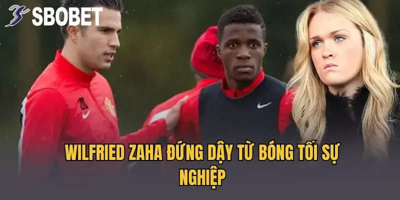 Wilfried Zaha đứng dậy từ bóng tối sự nghiệp