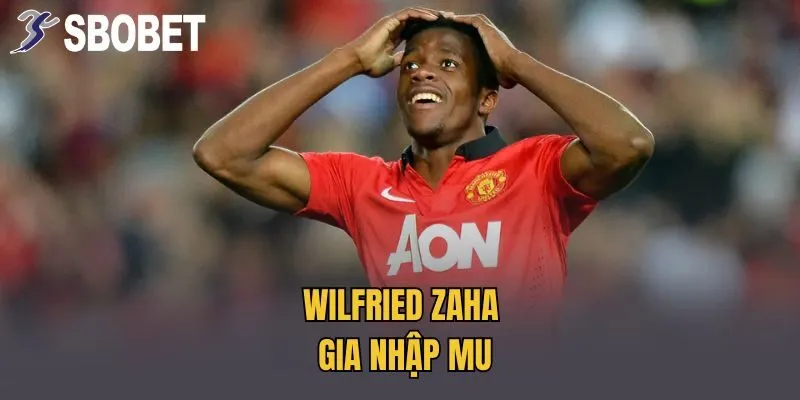 Wilfried Zaha gia nhập MU
