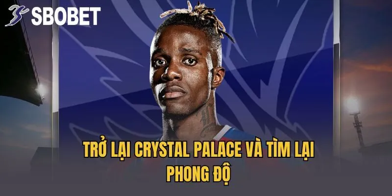 Trở lại Crystal Palace và tìm lại phong độ